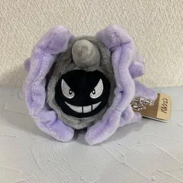 포켓몬 fit 파르셀