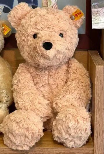 슈타이프사 테디베어 지미