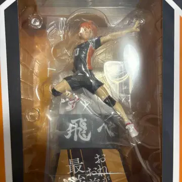 하이큐 복권 히나타 쇼요 피규어 A상