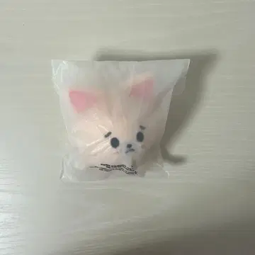 폭시니 스트레스 공