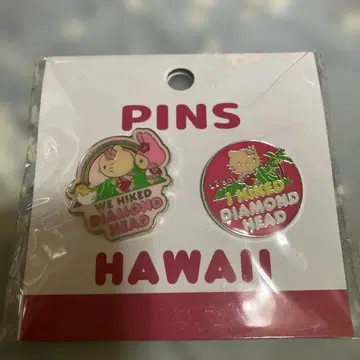 키티&구데타마 하와이 다이아몬드 헤드 핀즈 세트