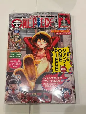 ONE PIECE 원피스 매거진 20호