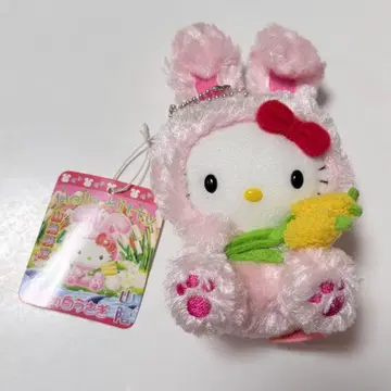 지역 한정 키티 이나바의 화이트 토끼 마스코트 레어