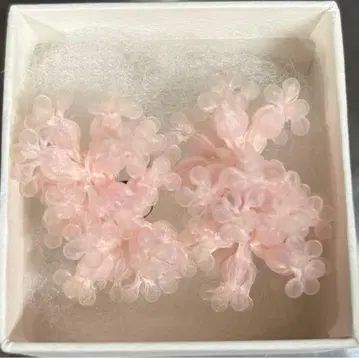 미오나 시미즈 귀걸이