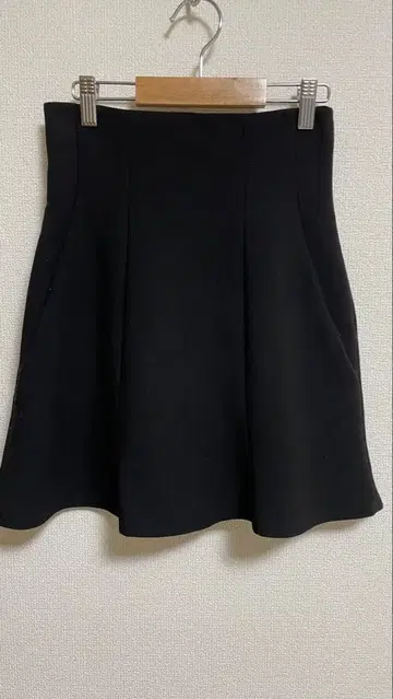 스나이델 스카쇼팬