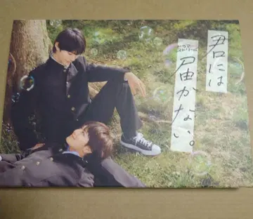 너에게 닿지 않아 마에다 켄타로 카시와기 유우 DVD