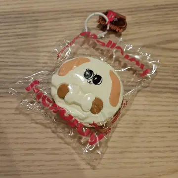 멜로 조이 모카 강아지