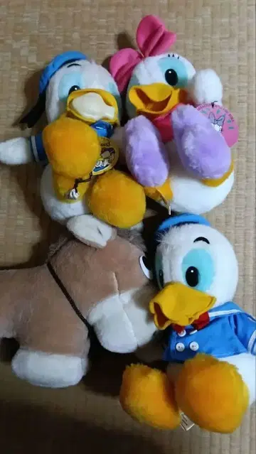 도널드 덕 데이지 덕 봉제 인형 세트