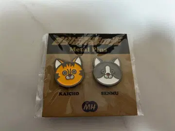 안녕, 청춘의 빛 핑 회장 전무 2개 세트