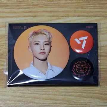 SEVENTEEN BE THE SUN 캔뱃지 호시