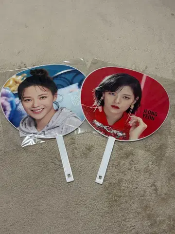 정연 부채 TWICE 정연