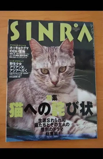 SINRA 고양이에게 보내는 사죄의 편지 도서