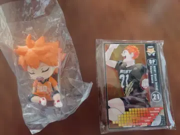 하이큐 히나타 쇼요 세트