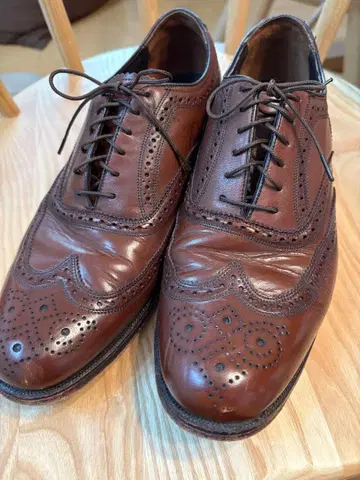 플로샤임 브라운 윙 칩 26 [새상품급]