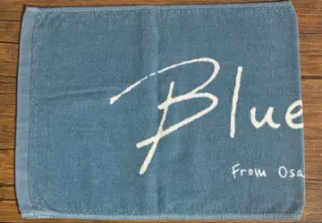 Blue Mash 타월