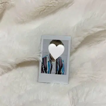 혼다 레오 폴라로이드