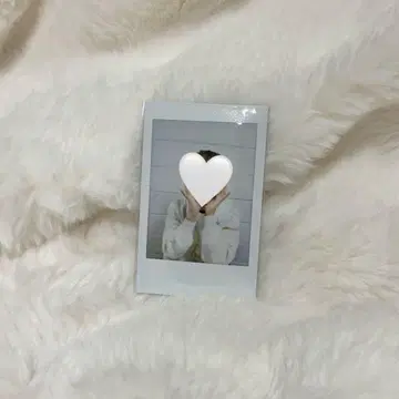 혼다 레오 폴라로이드