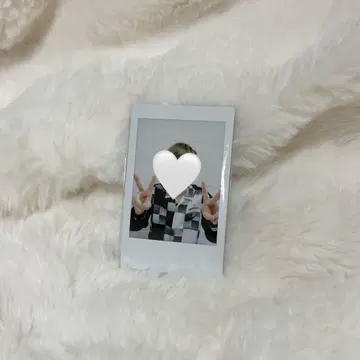 혼다 레오 폴라로이드