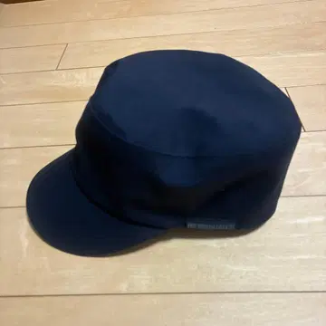 THE NORTH FACE GORE-TEX 워크캡