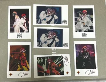 바우군 포토 카드 7세트