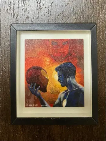 MARVEL COLLECTION 프레임 마그넷 시크릿