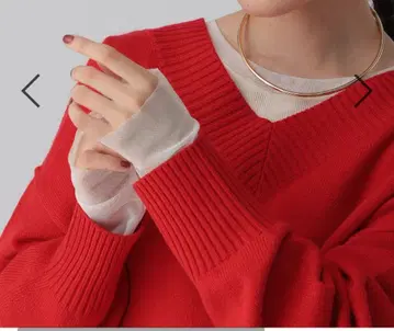 LEPSIM  골지 이너