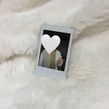 혼다 레오 폴라로이드