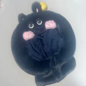 RIIZE 토냥독 응원봉 커버 원빈