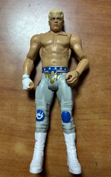WWE 코디 로즈 베이직 피규어 마텔