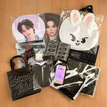 스키즈 리노 굿즈 묶음 판매 leebit skzoo