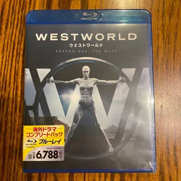 웨스트월드 퍼스트 시즌 컴플리트 세트 (3매)