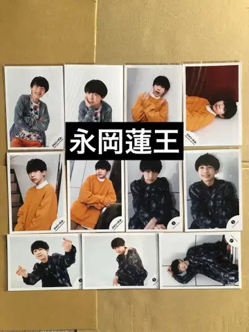(레어) 나가오카 렌오 공식 사진 11장 세트