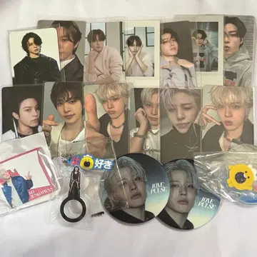 트레저 정환 묶음 판매