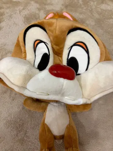 디즈니 팬캡 데일