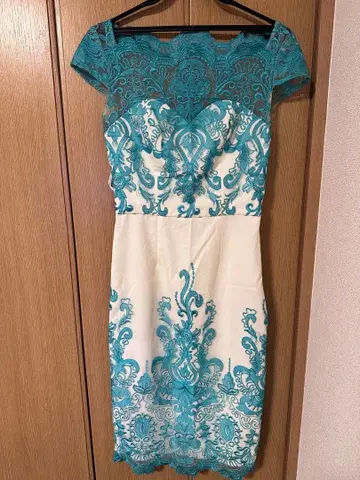 레이스 장식의 타이트 핏 드레스