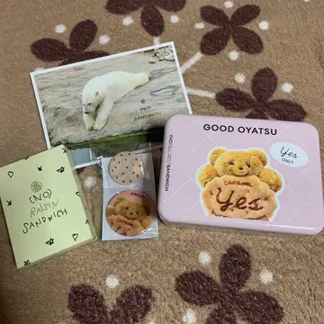 (NO)RAISIN SANDWICH 캔 배지 세트