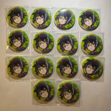 이하 라이 1st 캔뱃지 14점