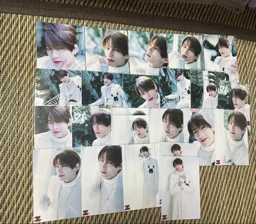 TETTA 생사진 50매 세트