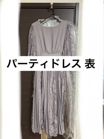 파티 드레스 그레이의 레이스 반팔 플리츠 드레스