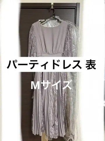 파티 드레스 그레이의 레이스 반팔 플리츠 드레스