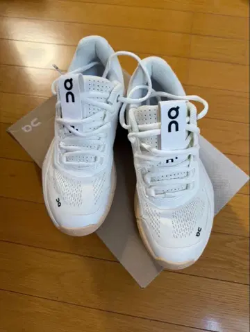 On THE ROGER Pro Clay on 테니스화