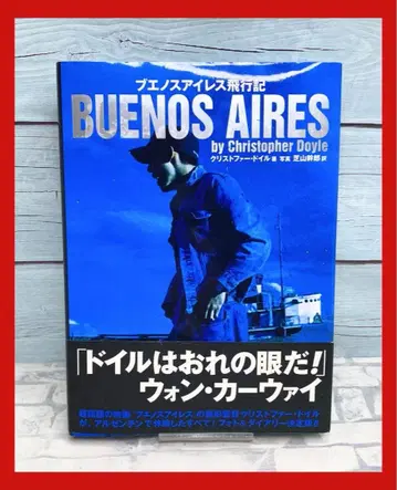 부에노스아이레스 비행기