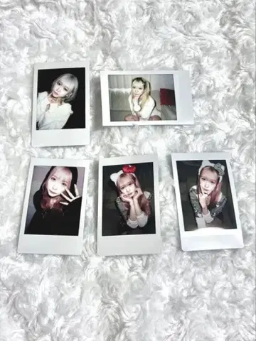 레이리레 reirie 폴라로이드 묶음 판매