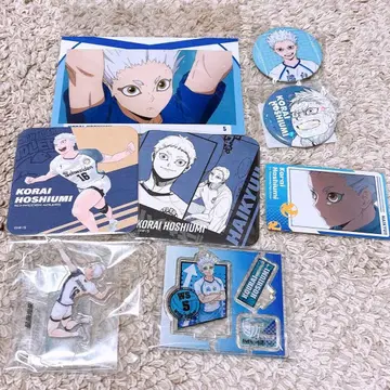 하이큐 호시우미 코라이 묶음 판매