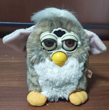 초대 퍼비 그레이 일본어