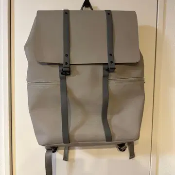 가스통 루가스 그레이