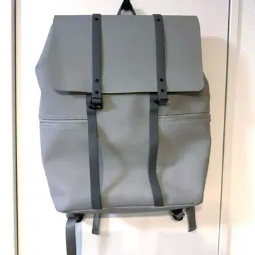 가스통 루가스 그레이