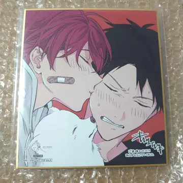 기븐 미니 색지 특전 리츠마후