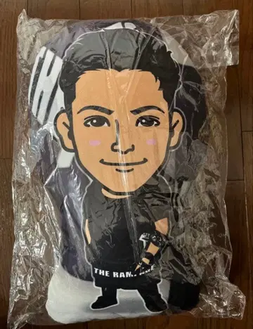 이와타니 쇼고 무사수행 쿠션