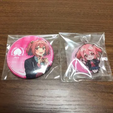 컬러풀 피치 노아 2세트